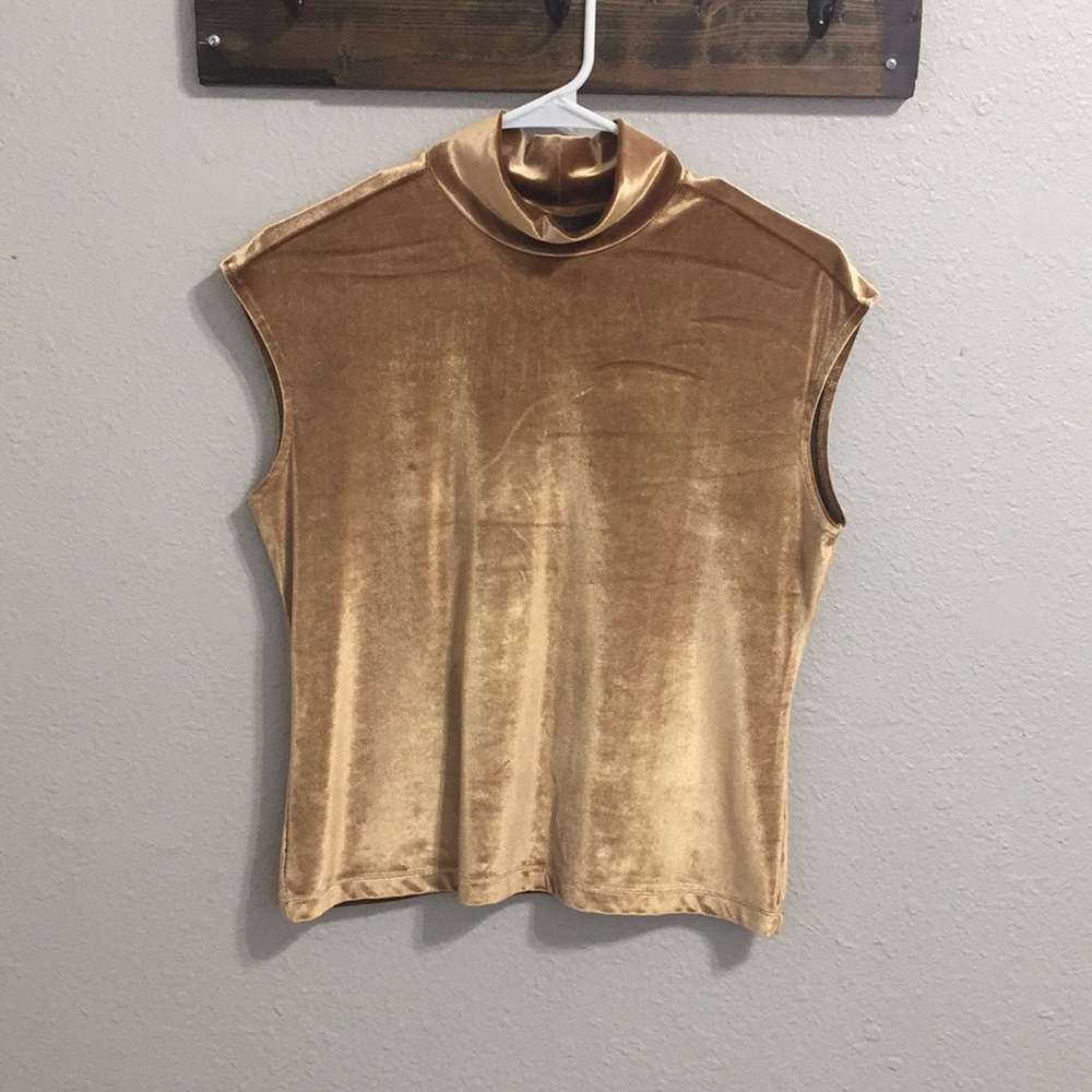 Velvet Mock Top | The Limited